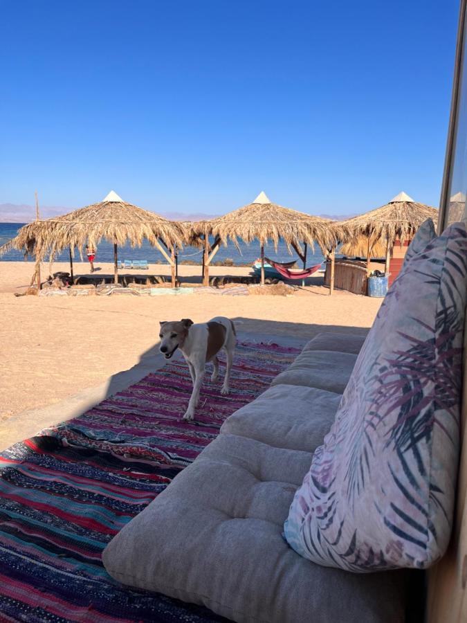 Abdo Caribbean Camp Hotel นูเวบา ภายนอก รูปภาพ